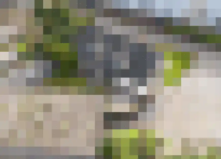 Weverstraat 7 Goirle thumbnail 14