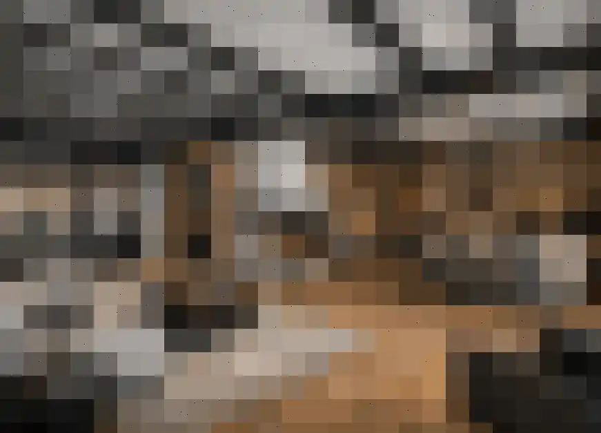 Weverstraat 7 Goirle thumbnail 24