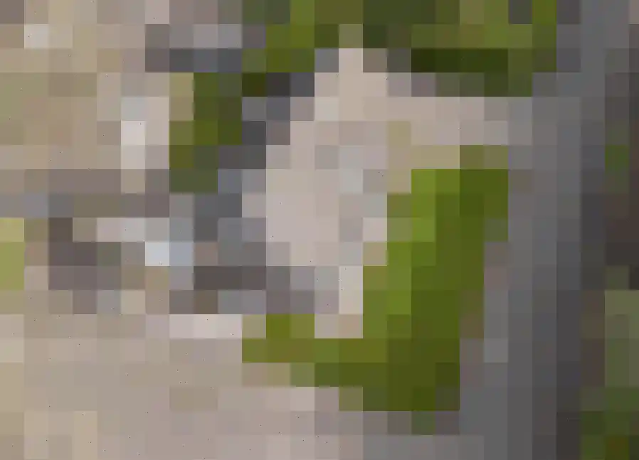 Weverstraat 7 Goirle thumbnail 67
