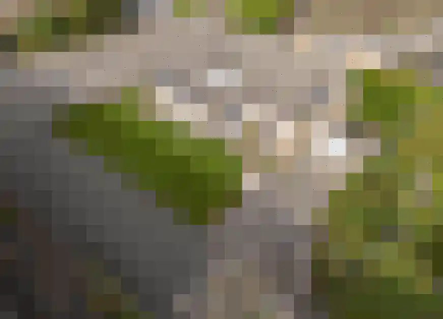 Weverstraat 7 Goirle thumbnail 8