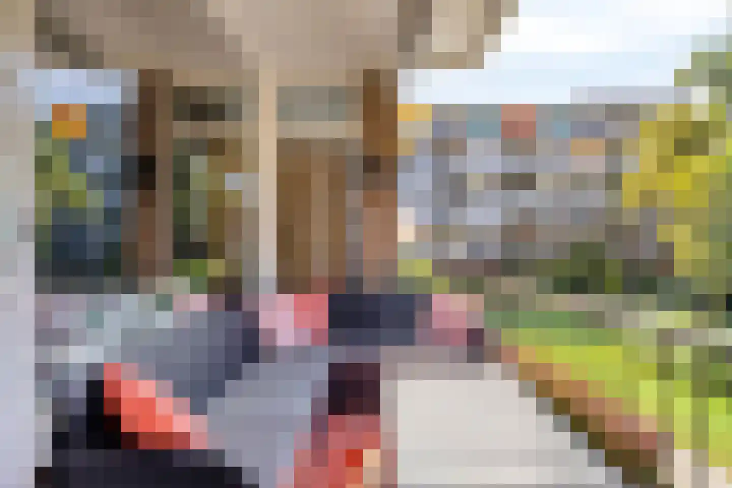 Weverstraat 761 Gorinchem thumbnail 8