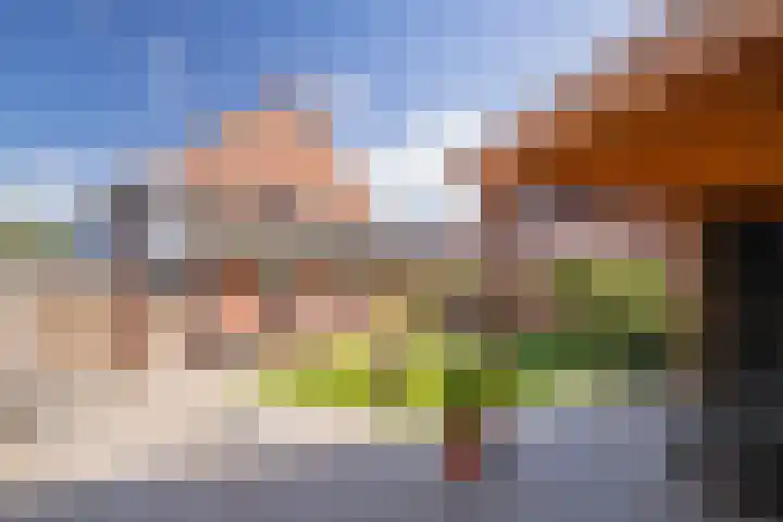Weverstraat 8 Munstergeleen thumbnail 18