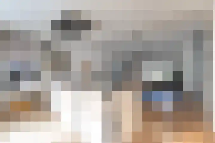 Weverstraat 8 Munstergeleen thumbnail 6