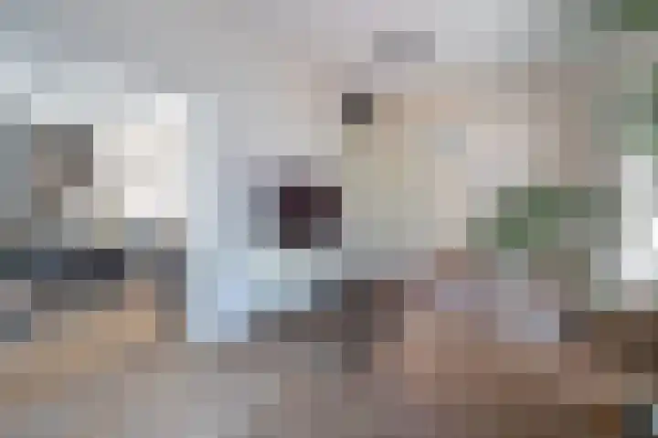 Weverstraat 8 Munstergeleen thumbnail 8