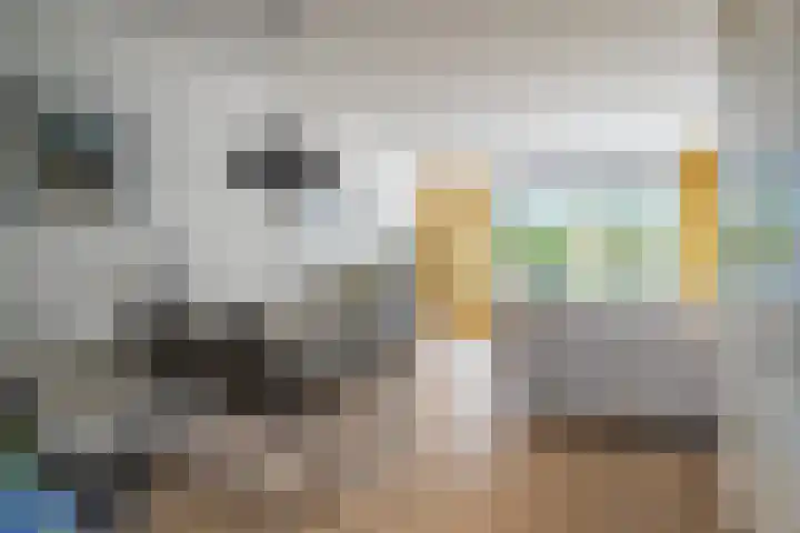 Weverstraat 81 Duiven thumbnail 14