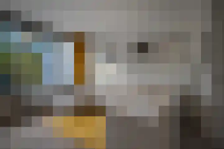 Weverstraat 81 Duiven thumbnail 17