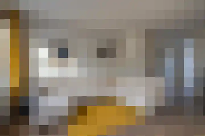 Weverstraat 81 Duiven thumbnail 18