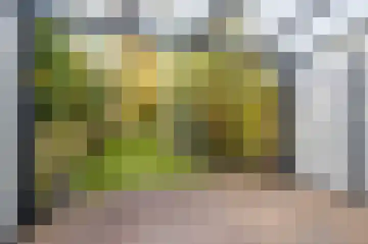 Weverstraat 81 Duiven thumbnail 21