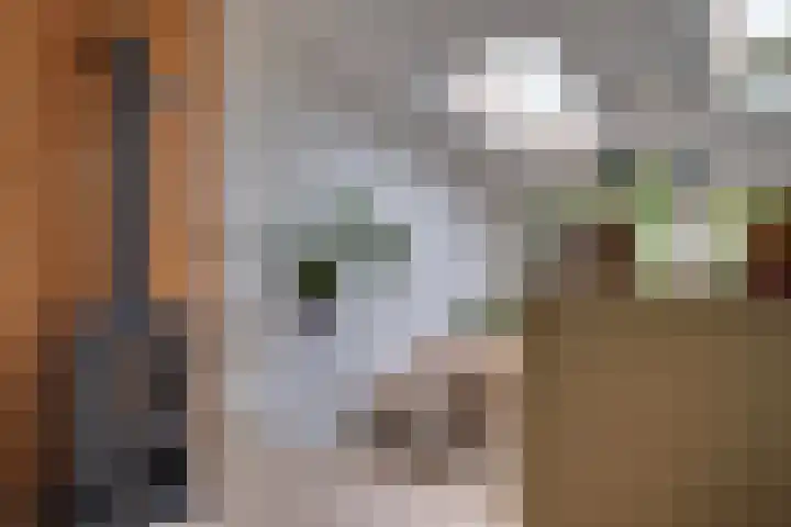 Weverstraat 87 Duiven thumbnail 13