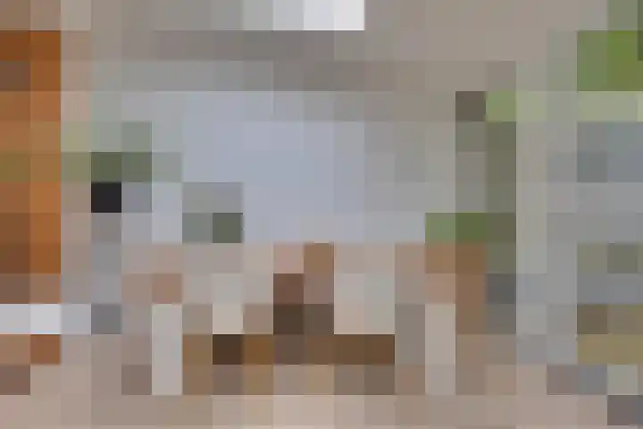 Weverstraat 87 Duiven thumbnail 14