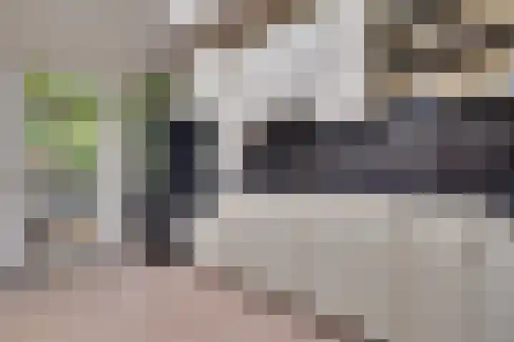 Weverstraat 87 Duiven thumbnail 15