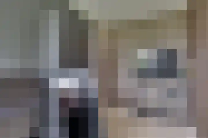 Weverstraat 87 Duiven thumbnail 20
