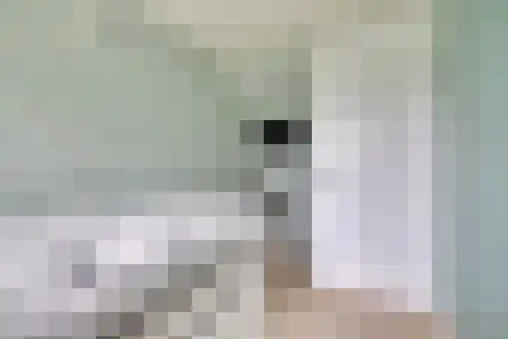 Weverstraat 87 Duiven thumbnail 22