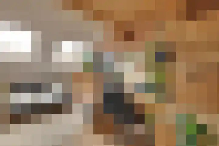 Weverstraat 87 Duiven thumbnail 27