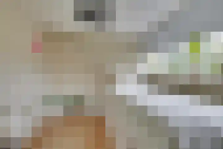 Weverstraat 87 Duiven thumbnail 31