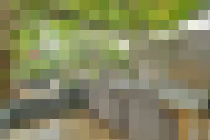 Weverstraat 87 Duiven thumbnail 33
