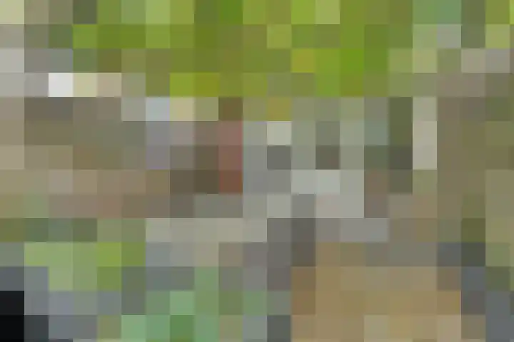 Weverstraat 87 Duiven thumbnail 35