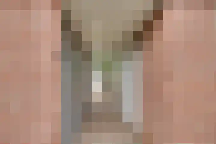 Weverstraat 87 Duiven thumbnail 36