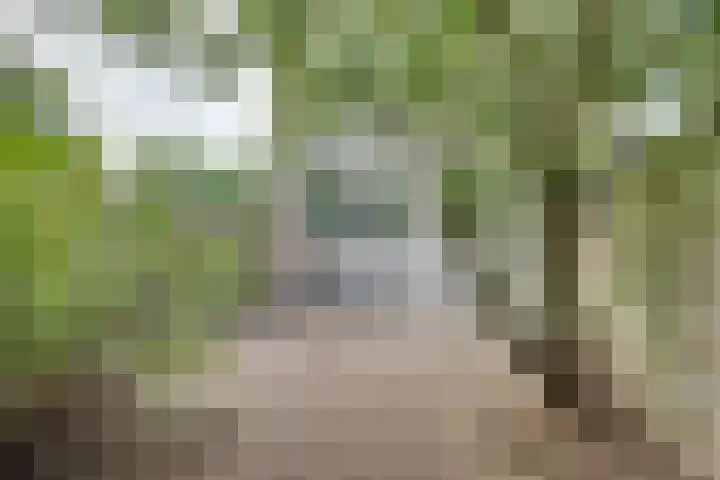 Weverstraat 87 Duiven thumbnail 4