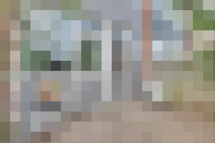 Weverstraat 87 Duiven thumbnail 5