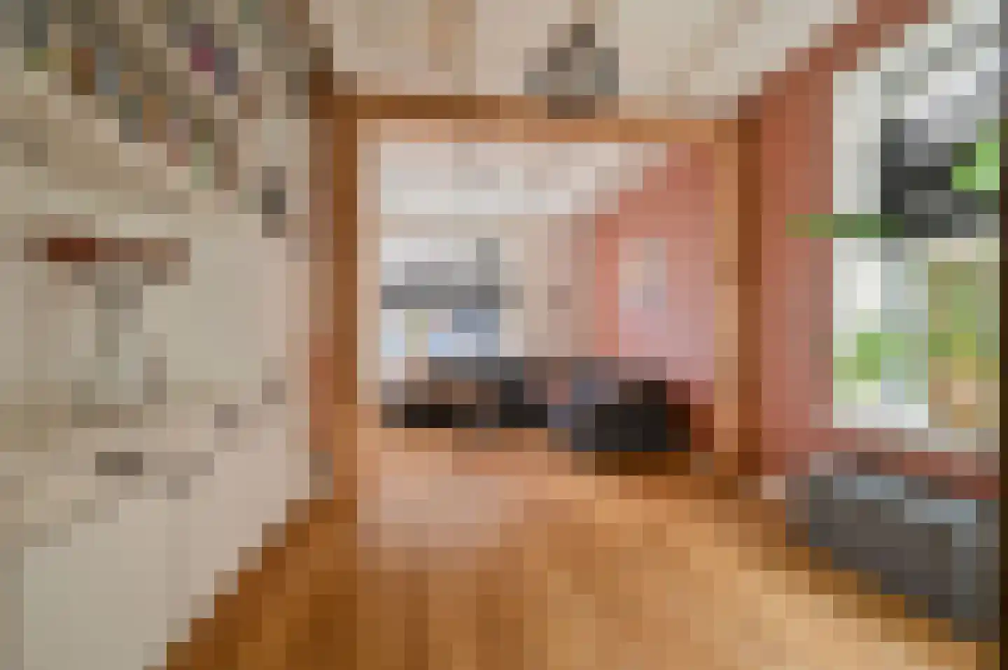 Weverstraat 9 Putten thumbnail 8