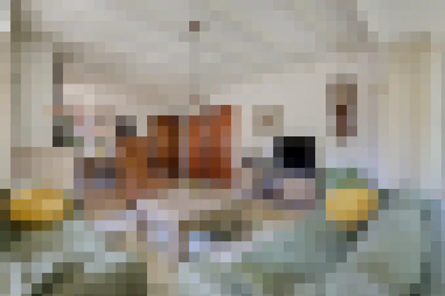 Weversveld 59 Wehl thumbnail 14