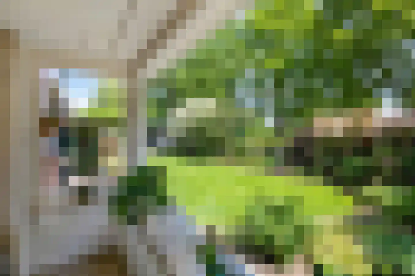 Weversveld 59 Wehl thumbnail 15