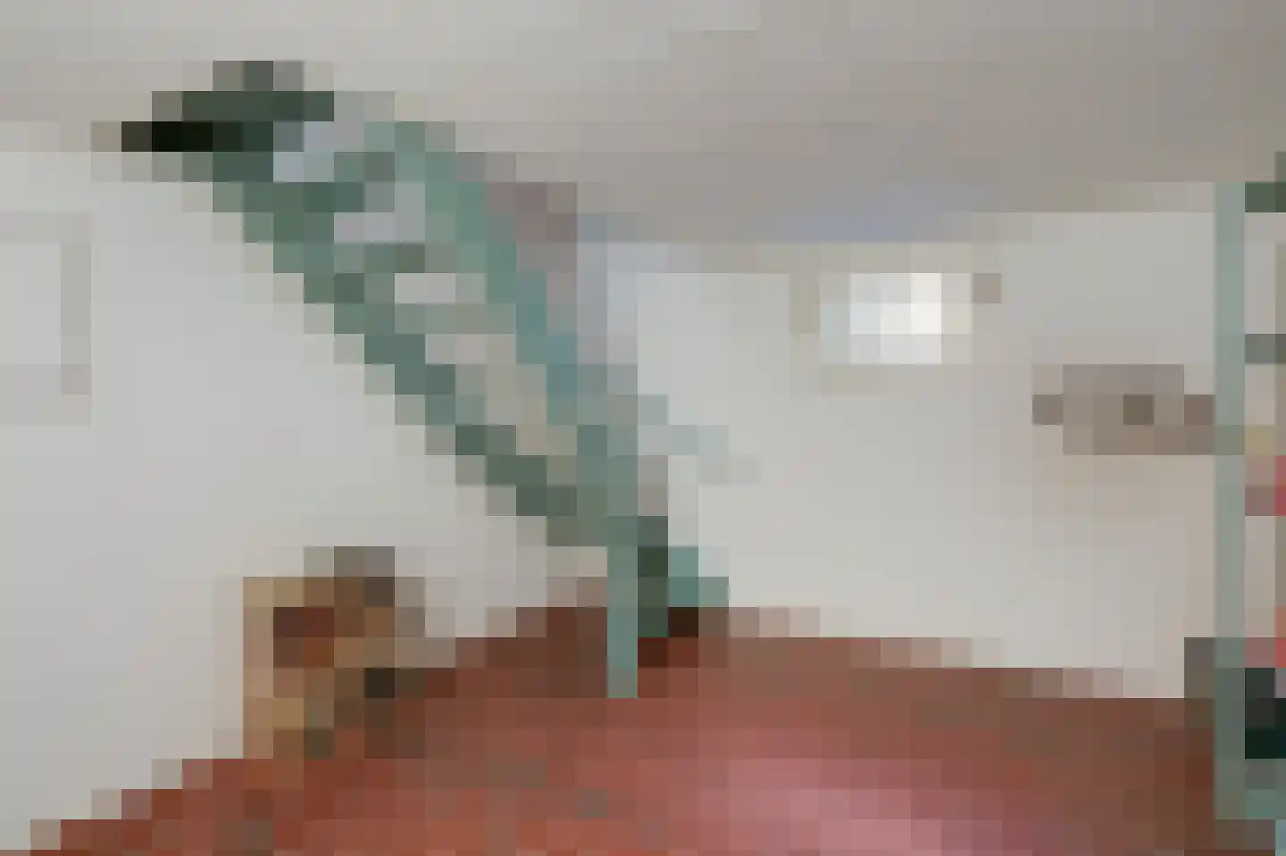 Weversveld 59 Wehl thumbnail 23