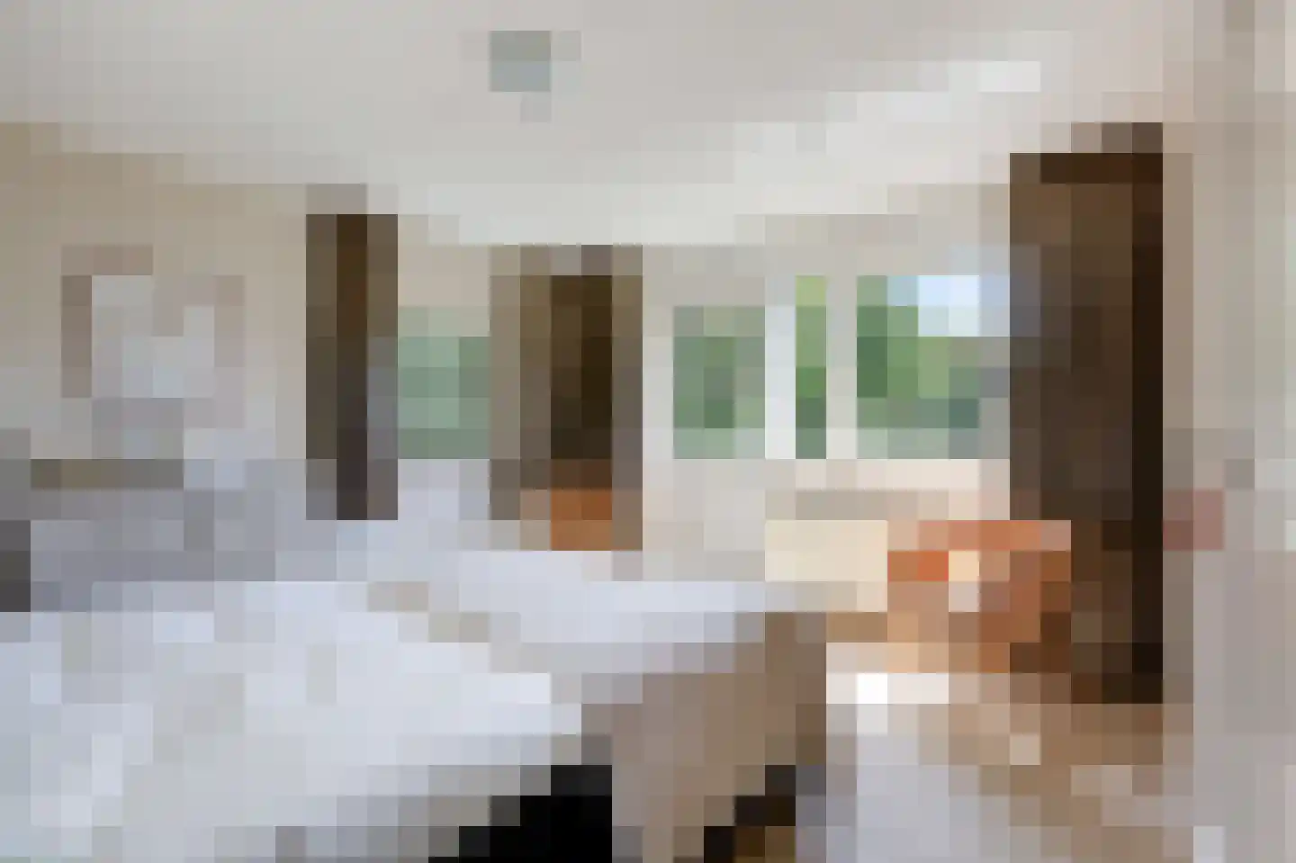 Weversveld 59 Wehl thumbnail 26