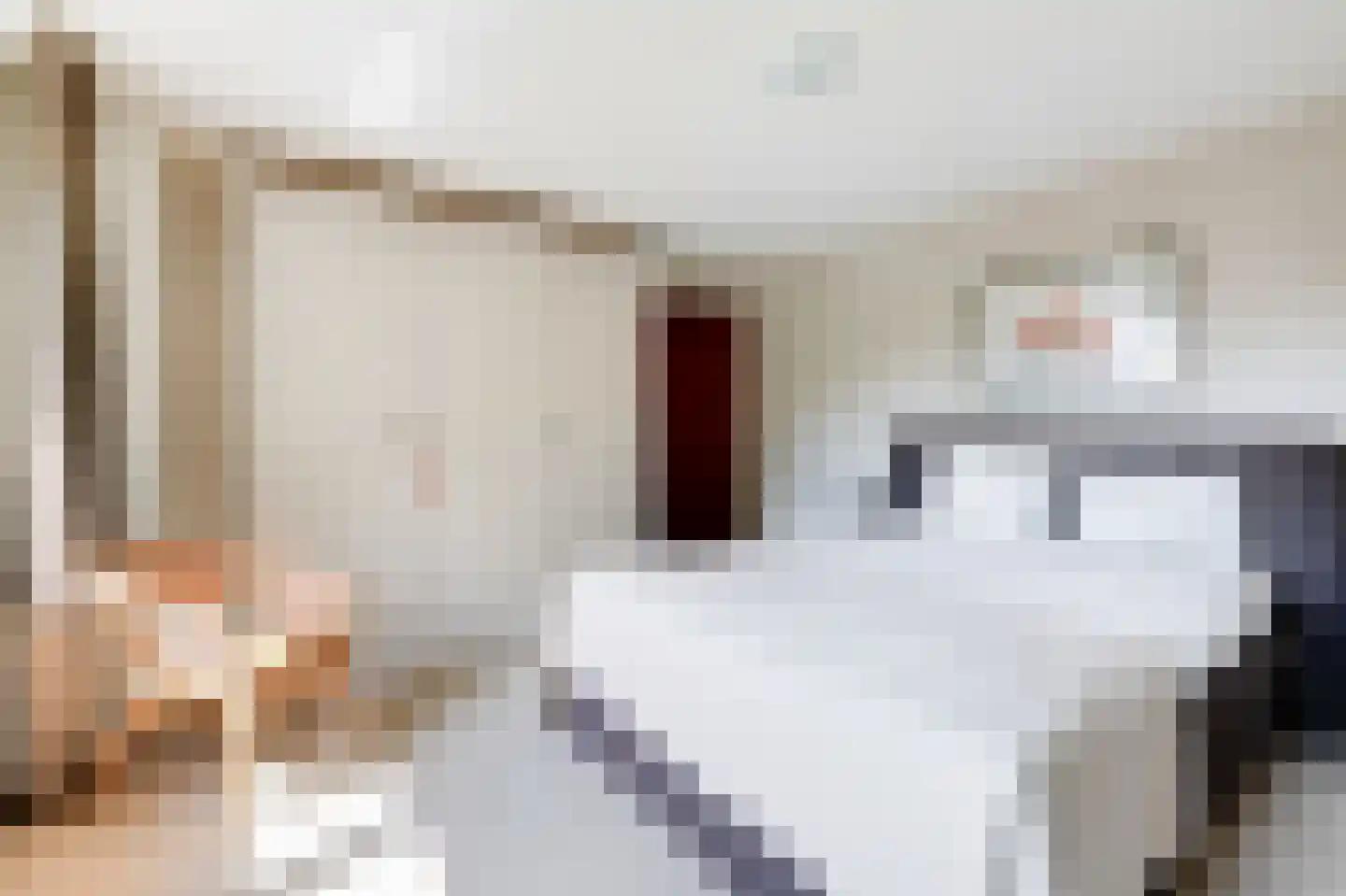 Weversveld 59 Wehl thumbnail 27