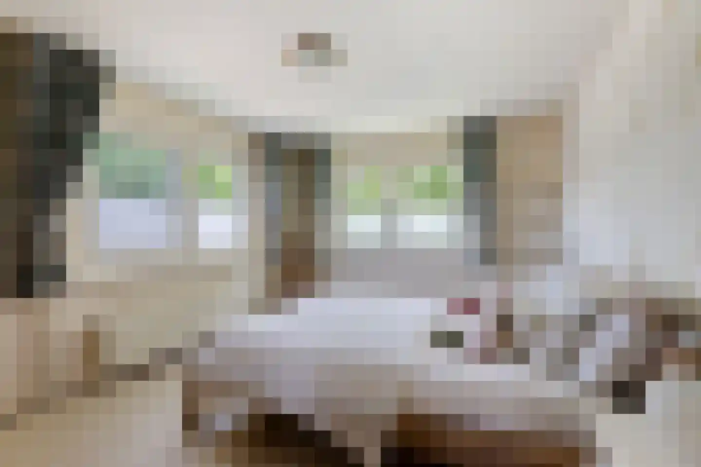Weversveld 59 Wehl thumbnail 29