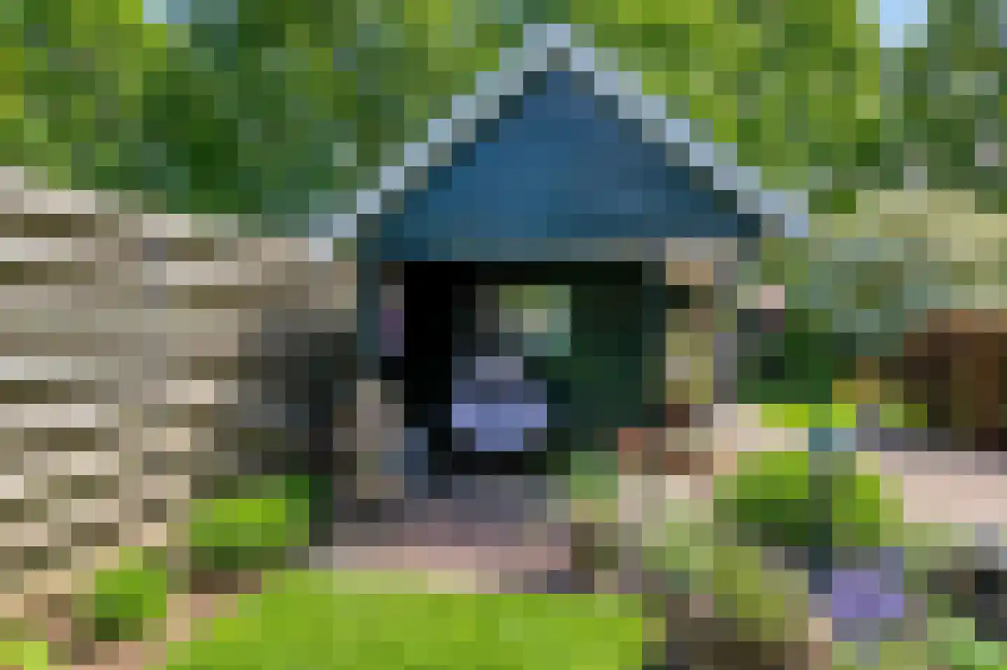 Weversveld 59 Wehl thumbnail 58