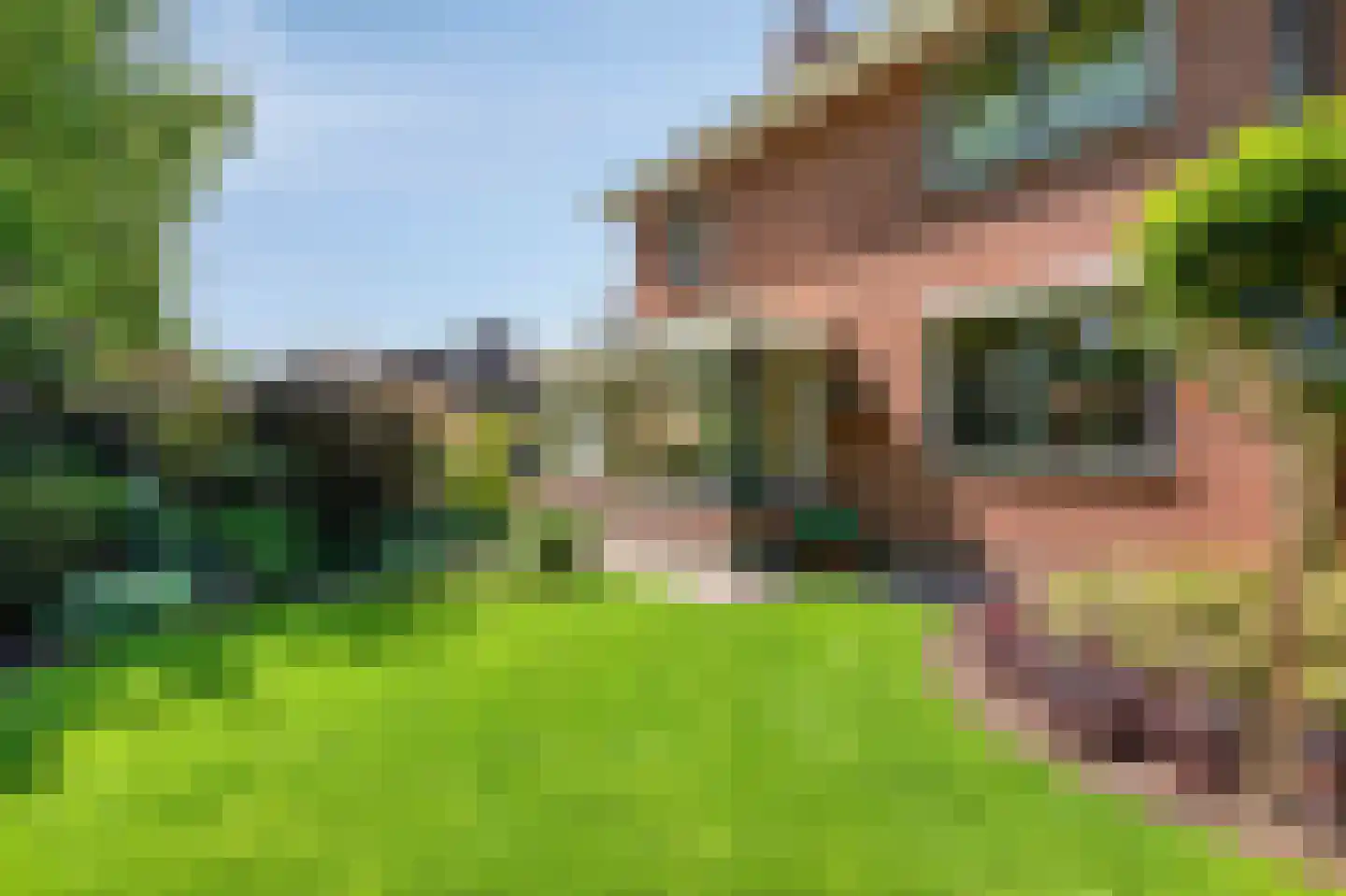 Weversveld 59 Wehl thumbnail 60