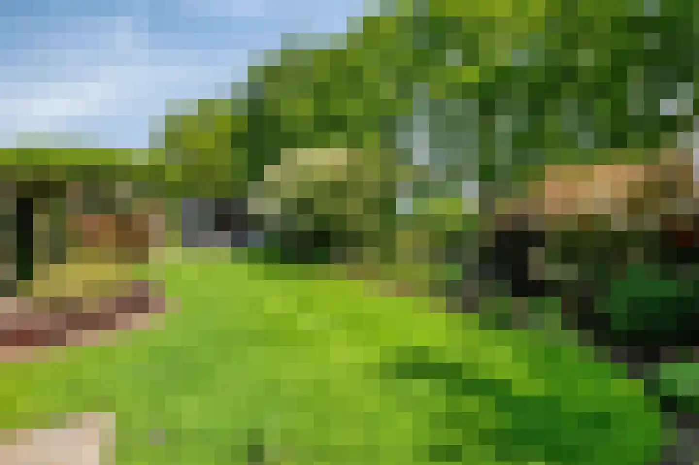 Weversveld 59 Wehl thumbnail 63
