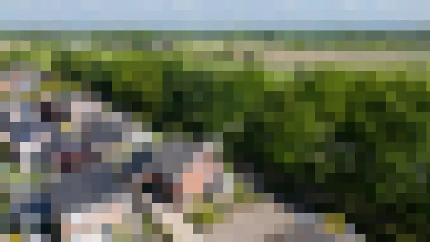 Weversveld 59 Wehl thumbnail 65
