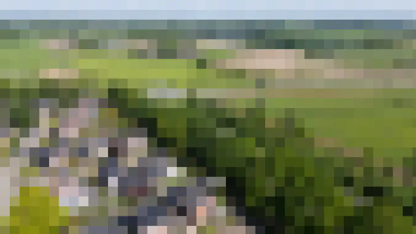 Weversveld 59 Wehl thumbnail 66
