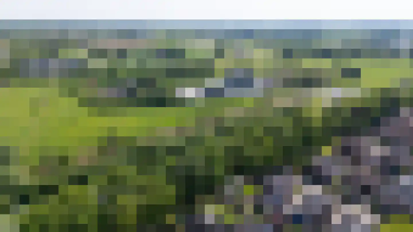 Weversveld 59 Wehl thumbnail 67
