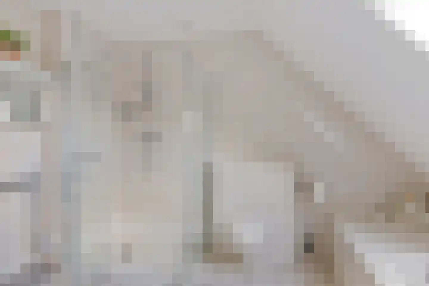 Weverswâl 31 A Bakkeveen thumbnail 23