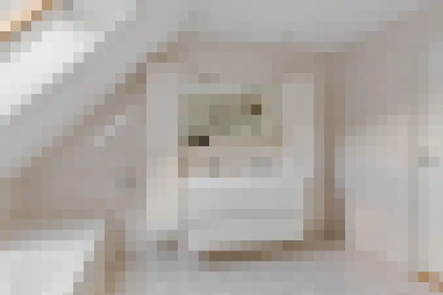 Weverswâl 31 A Bakkeveen thumbnail 24