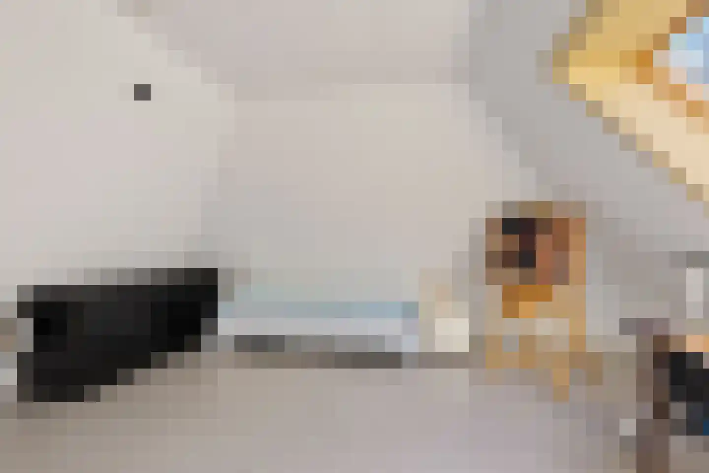Weverswâl 31 A Bakkeveen thumbnail 25