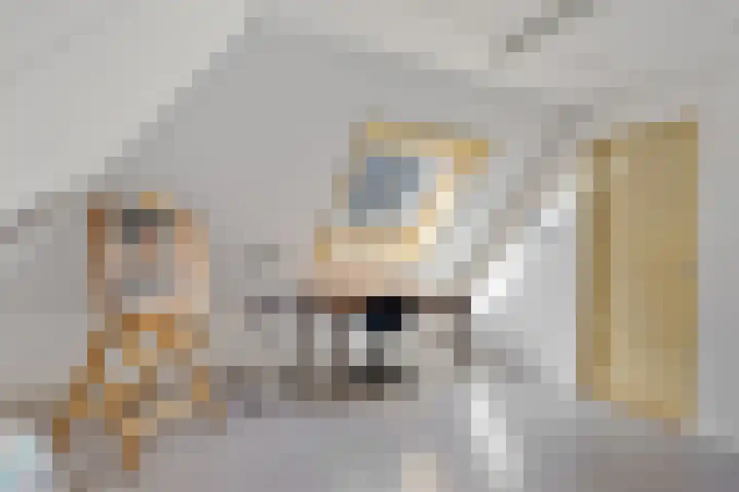 Weverswâl 31 A Bakkeveen thumbnail 26