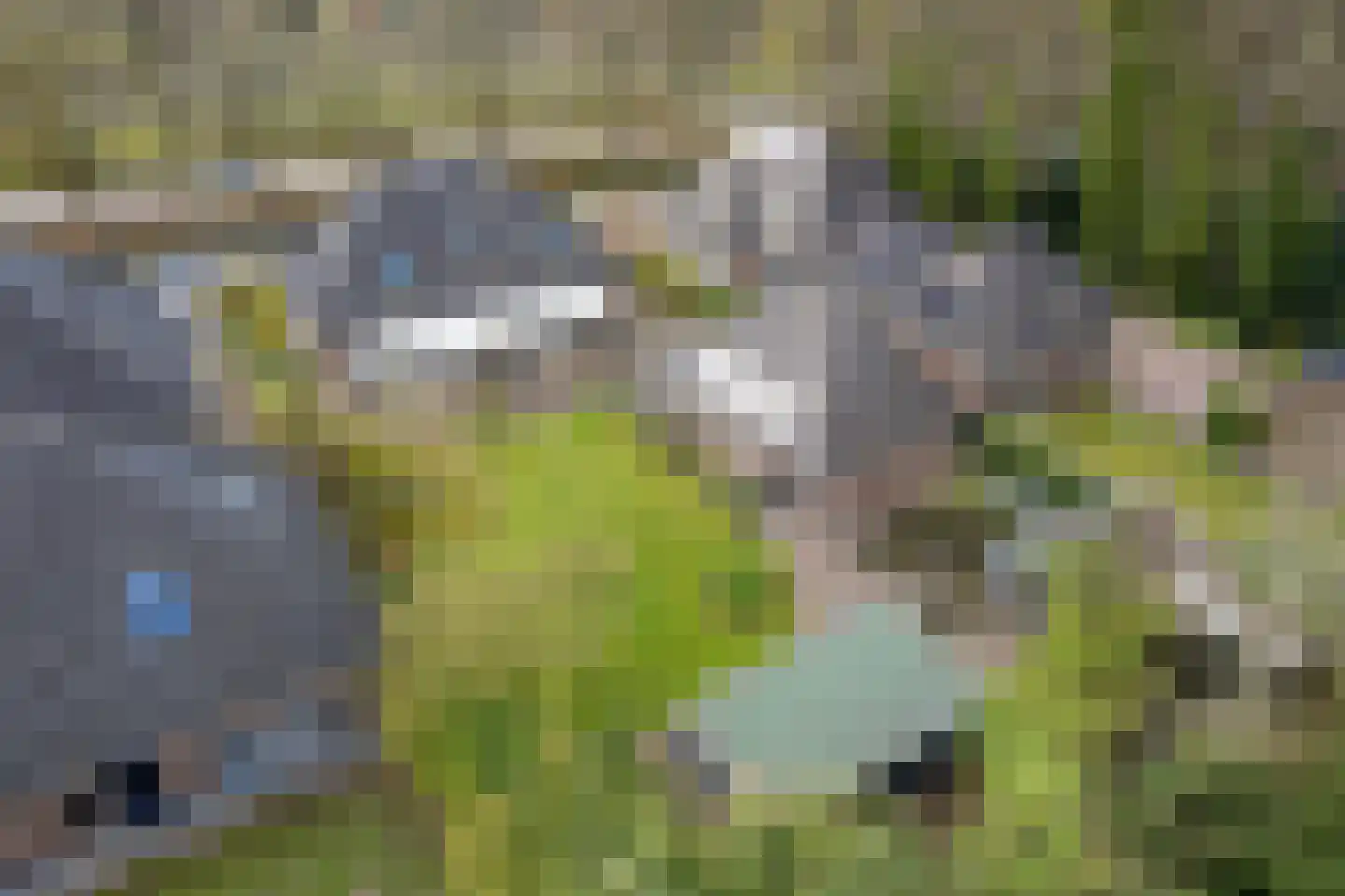 Weverswâl 31 A Bakkeveen thumbnail 36