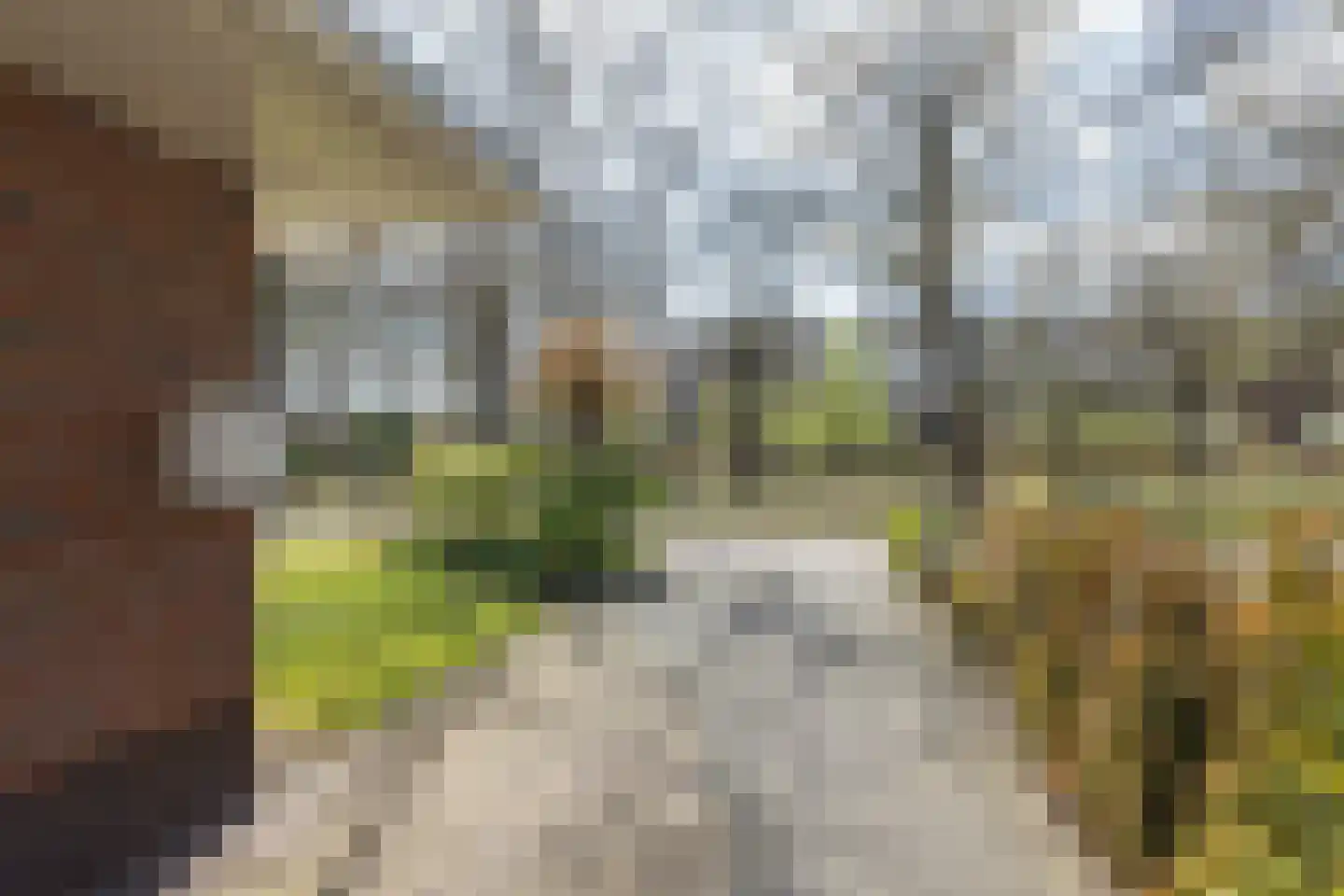 Weverswâl 31 A Bakkeveen thumbnail 44