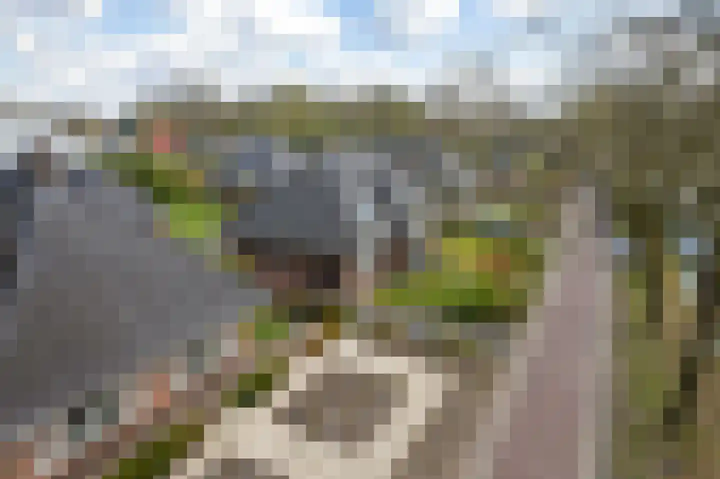 Weverswâl 31 A Bakkeveen thumbnail 50