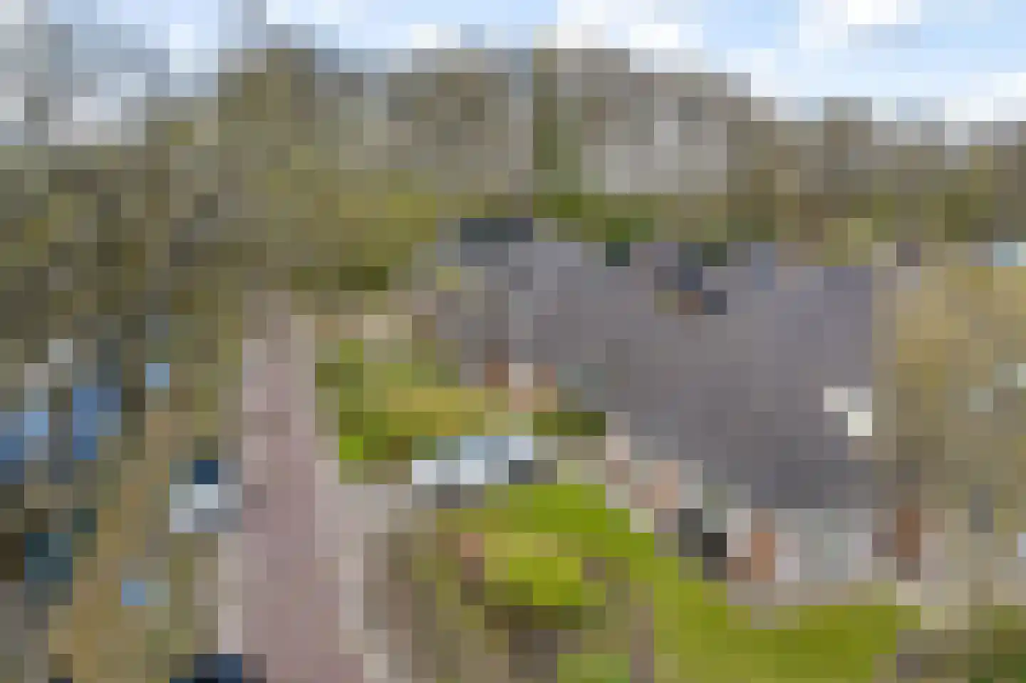 Weverswâl 31 A Bakkeveen thumbnail 52