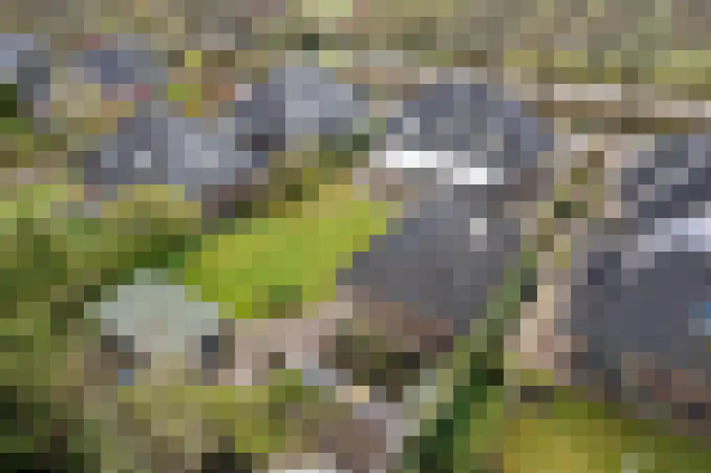 Weverswâl 31 A Bakkeveen thumbnail 53