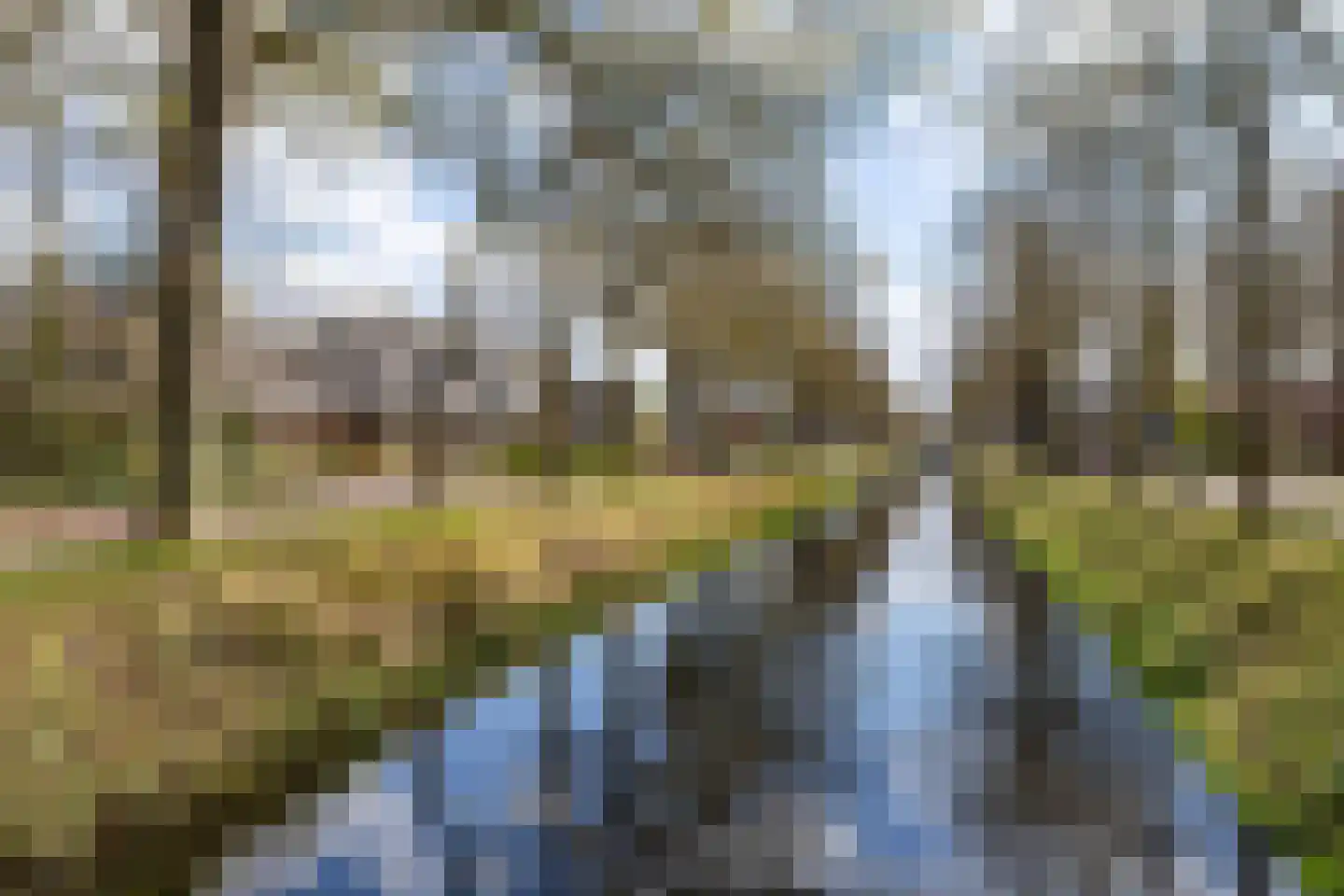 Weverswâl 31 A Bakkeveen thumbnail 55