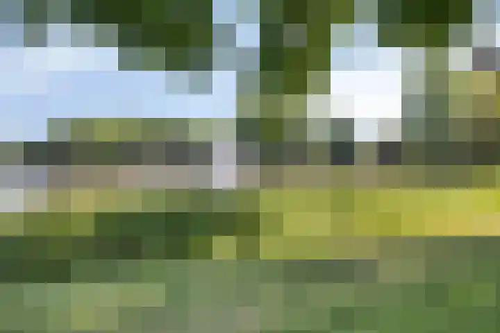 Weversweg 2 Hengelo thumbnail 28