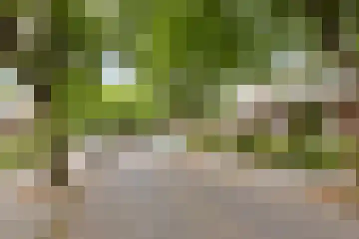 Weversweg 2 Hengelo thumbnail 5