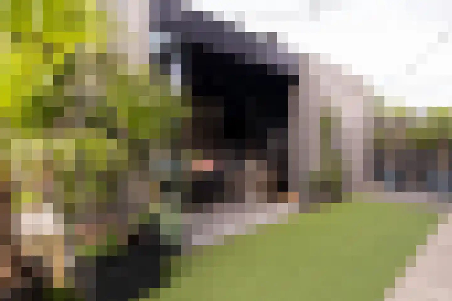 Weversweg 2 Hulshorst thumbnail 10
